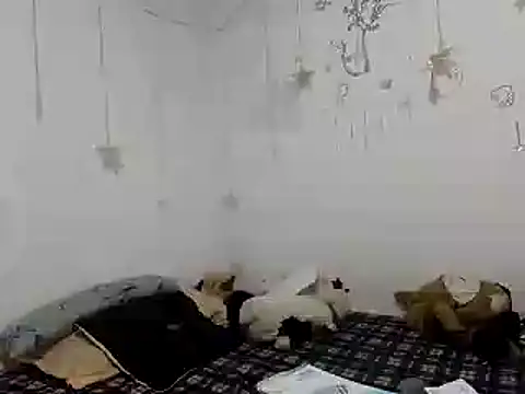 Nissha johosonn online show from 12-13-24, 01:04