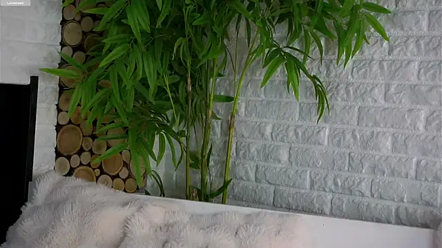 LowOncoming online show from 03-25-26, 01:55