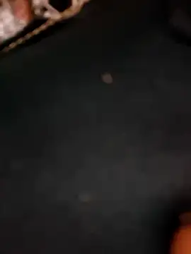 5g4ever online show from 03-25-26, 10:54