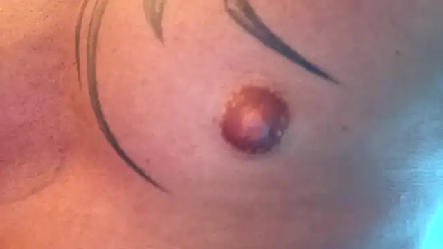 Timbojan28 online show from 02-11-26, 10:37