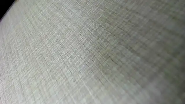 Snapshot of AishaRouhi chatting on 11-05-25, 05:07 AishaRouhi online show from 11-05-25, 05:07