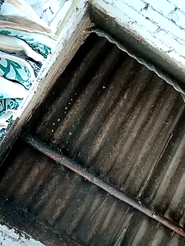 Lukas strong online show from 10-07-25, 06:38