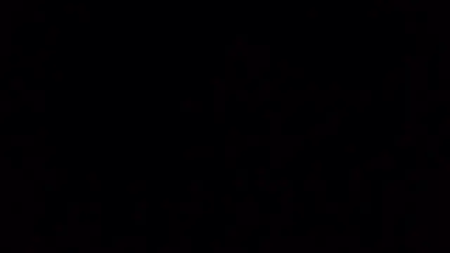 Ken-boy  online show from 10-20-25, 11:43