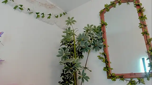 BonnieCute  online show from 03-19-26, 11:53