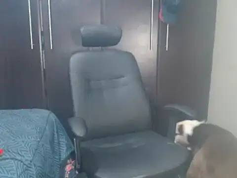 blzed420 online show from 02-15-25, 11:14