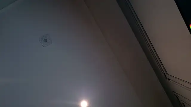 Snapshot of Liv_Fay chatting on 12-28-24, 02:10 Liv Fay online show from 12-28-24, 02:10