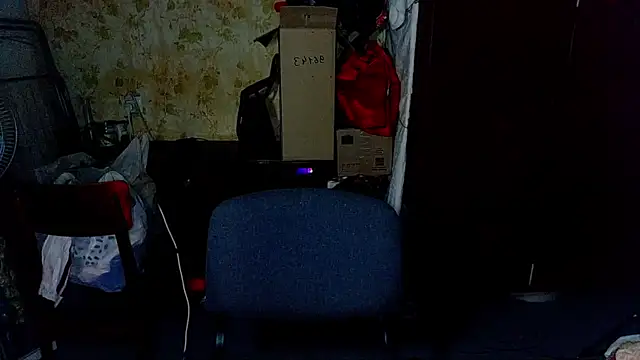 HilmarZ online show from 01-28-25, 04:30
