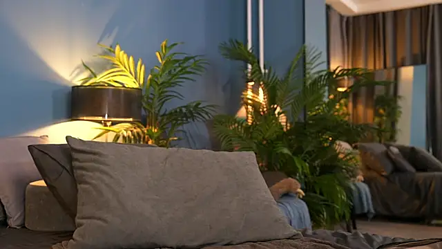 Snapshot of _keeti_ chatting on 11-01-25, 11:29 keeti online show from 11-01-25, 11:29