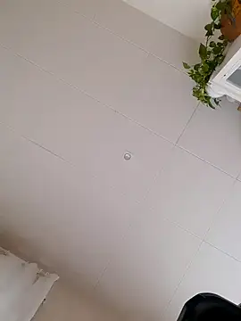 Greacky online show from 12-14-24, 12:01