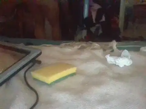 biuv online show from 02-23-25, 12:59