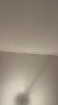 petan33 online show from 12-18-24, 07:41