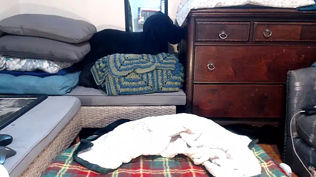 Snapshot of ladyscarlotta chatting on 02-09-25, 04:50 ladyscarlotta online show from 02-09-25, 04:50