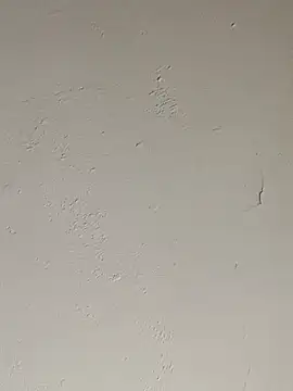 cazaperdidas online show from 09-17-25, 05:58