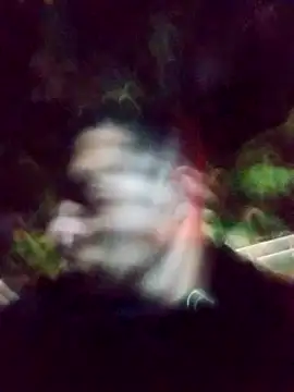 Snapshot of mis312 chatting on 03-04-25, 01:45 mis312 online show from 03-04-25, 01:45