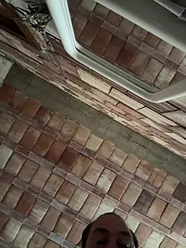 Snapshot of ros217 chatting on 03-18-26, 08:17 ros217 online show from 03-18-26, 08:17