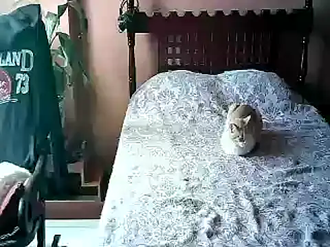 2mgars online show from 01-17-26, 04:11