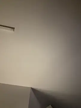 tigerrtiger online show from 02-19-25, 12:46