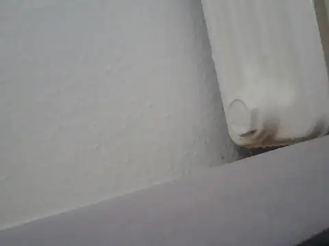 lickthehottie online show from 07-14-26, 10:21