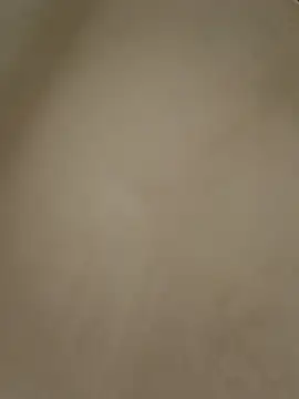 anabella1888 online show from 05-08-26, 08:14