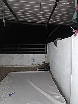 Jake bom online show from 04-20-26, 07:33