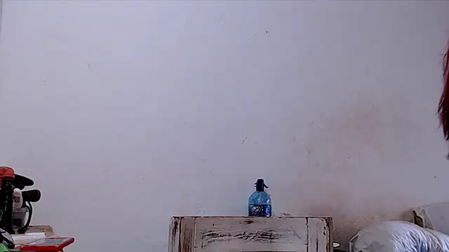SusiDream online show from 03-14-26, 08:58
