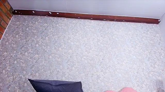 nicol f online show from 11-27-25, 03:08