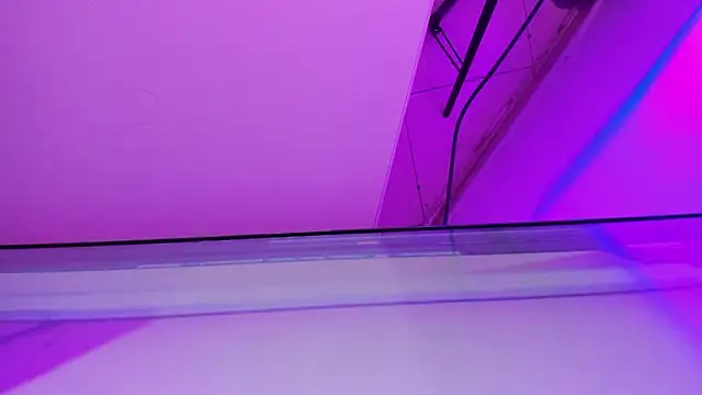 sarah  bigboobs online show from 03-21-26, 10:20