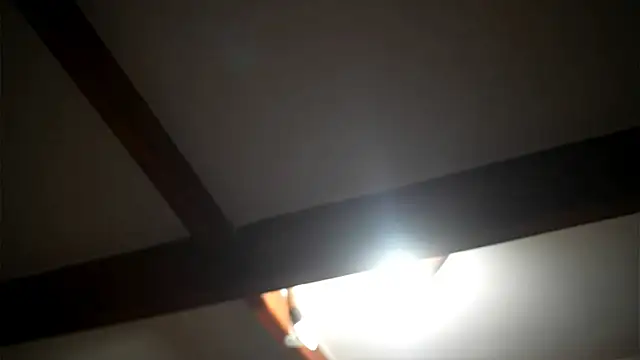 Bellis Perenis online show from 02-27-26, 09:09