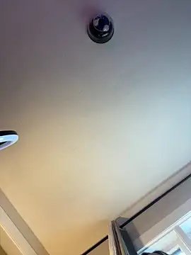 PuckBunny17 online show from 12-16-24, 05:00