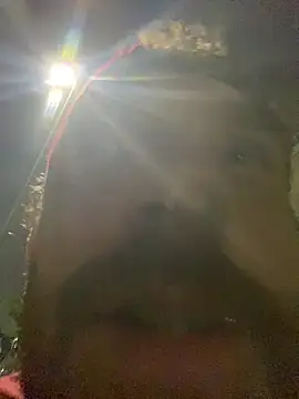 PocoLoco420 online show from 06-25-26, 01:05