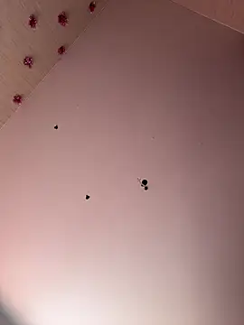 -Sexy Barbie- online show from 12-27-24, 04:15