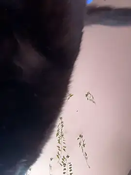 -Sexy Barbie- online show from 10-11-25, 02:33