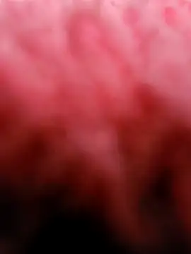 Snapshot of eric69_69 chatting on 03-05-25, 03:29 eric69 69 online show from 03-05-25, 03:29