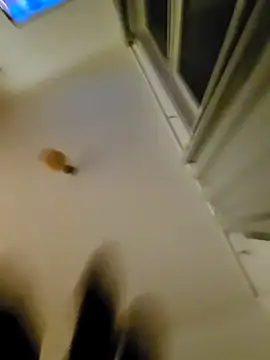 Snapshot of eric69_69 chatting on 11-07-25, 12:32 eric69 69 online show from 11-07-25, 12:32