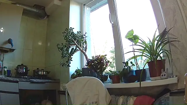 BroadFantasy online show from 09-11-25, 01:22