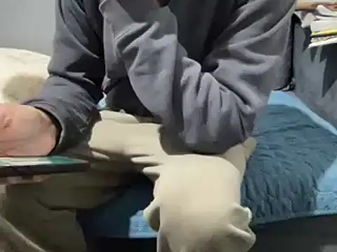 4small4inchlol online show from 02-21-25, 10:28