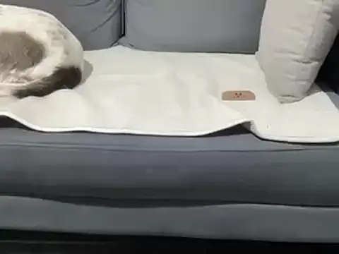 4small4inchlol online show from 03-19-25, 11:25