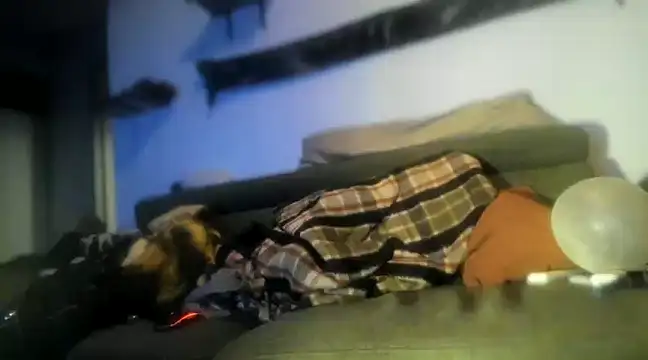 P4RtYBOII92 online show from 02-01-25, 10:55