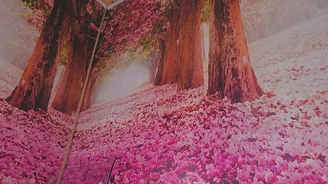 Wet nympho online show from 05-03-26, 06:52