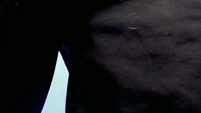 Snapshot of Jake_tripp chatting on 09-27-25, 04:17 Jake tripp online show from 09-27-25, 04:17