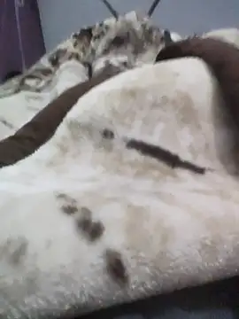 iaparna online show from 12-16-25, 04:23