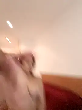 THIAGOEVA online show from 12-10-24, 12:05