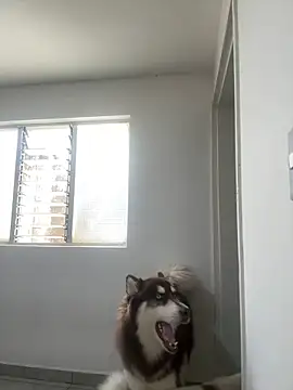 Snapshot of Arilw chatting on 02-01-25, 02:13 Arilw online show from 02-01-25, 02:13