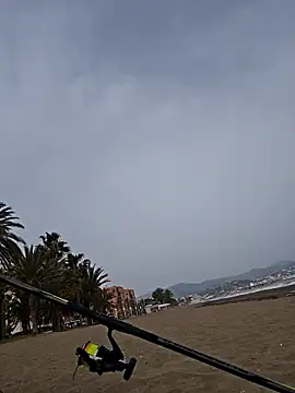 Snapshot of charlye_inkkkk chatting on 03-02-26, 02:35 charlye inkkkk online show from 03-02-26, 02:35