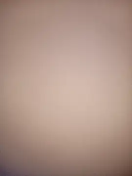 bustybillies online show from 12-03-25, 03:58