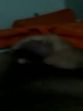 lm279 online show from 01-14-26, 03:06