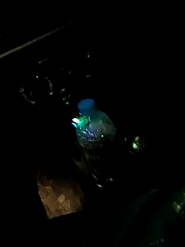 Soniyagupta999 online show from 03-31-26, 02:17