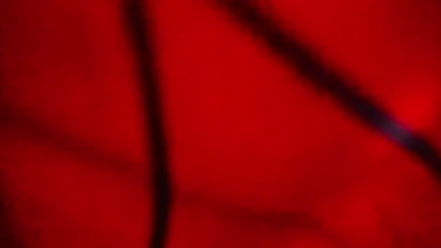 Nathaly love96 online show from 02-20-26, 07:47