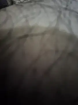 Snapshot of Piter1022 chatting on 11-01-25, 12:18 Piter1022 online show from 11-01-25, 12:18