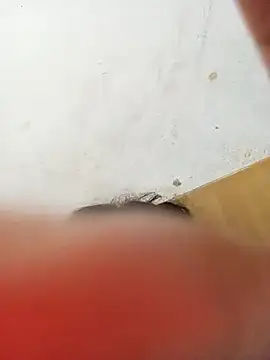 ambarlennoix online show from 01-12-25, 10:34